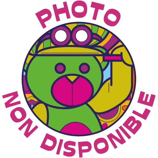 En attente de l’image du produit